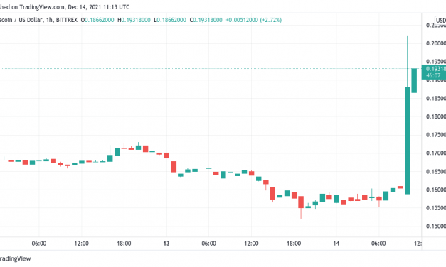Dogecoin gains 25% after Elon Musk confirms Tesla will accept DOGE for merchandise