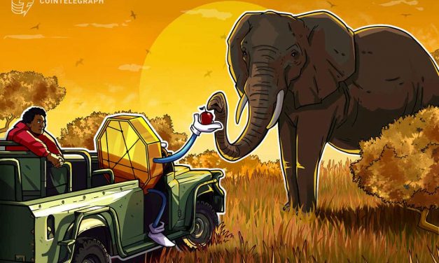 South Africa's financial regulator plans to introduce framework aimed at protecting vulnerable crypto investors: report