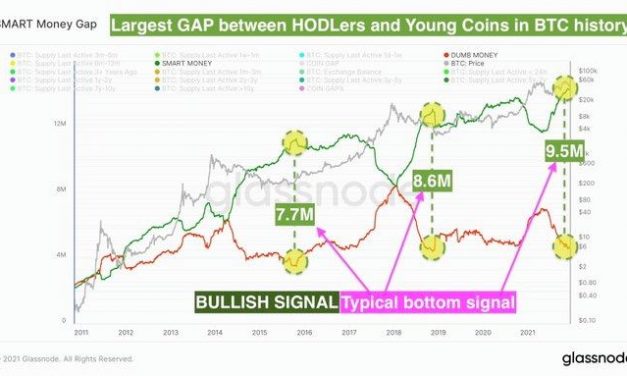 Bitcoin sheds ‘dumb money’ as retail buys most BTC since March 2020 crash