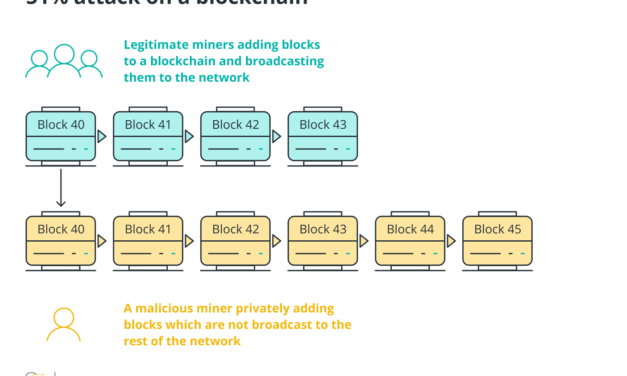 Inside the blockchain developer’s mind: Proof-of-burn blockchain consensus