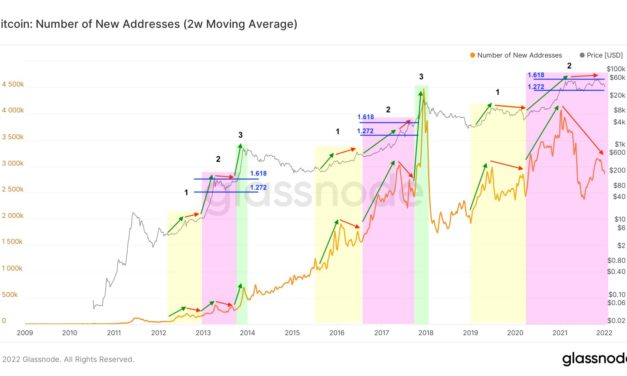 What bear market? Current BTC price dip still matches previous Bitcoin cycles, says analyst