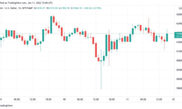 Bitcoin price surges to $43K, but traders warn that ‘real pain’ is due for altcoins