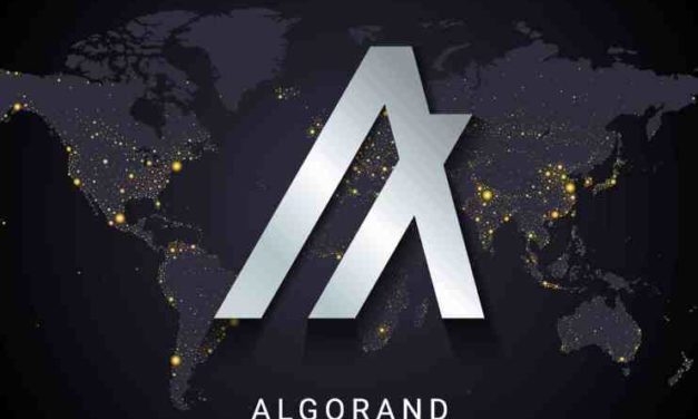 Algorand spolupracuje s významnou izraelskou univerzitou – podporujú vzdelávanie o blockchaine