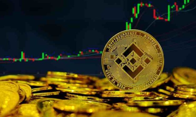 Binance coin – Kryptomena s veľkým potenciálom, ktorú sa oplatí držať?