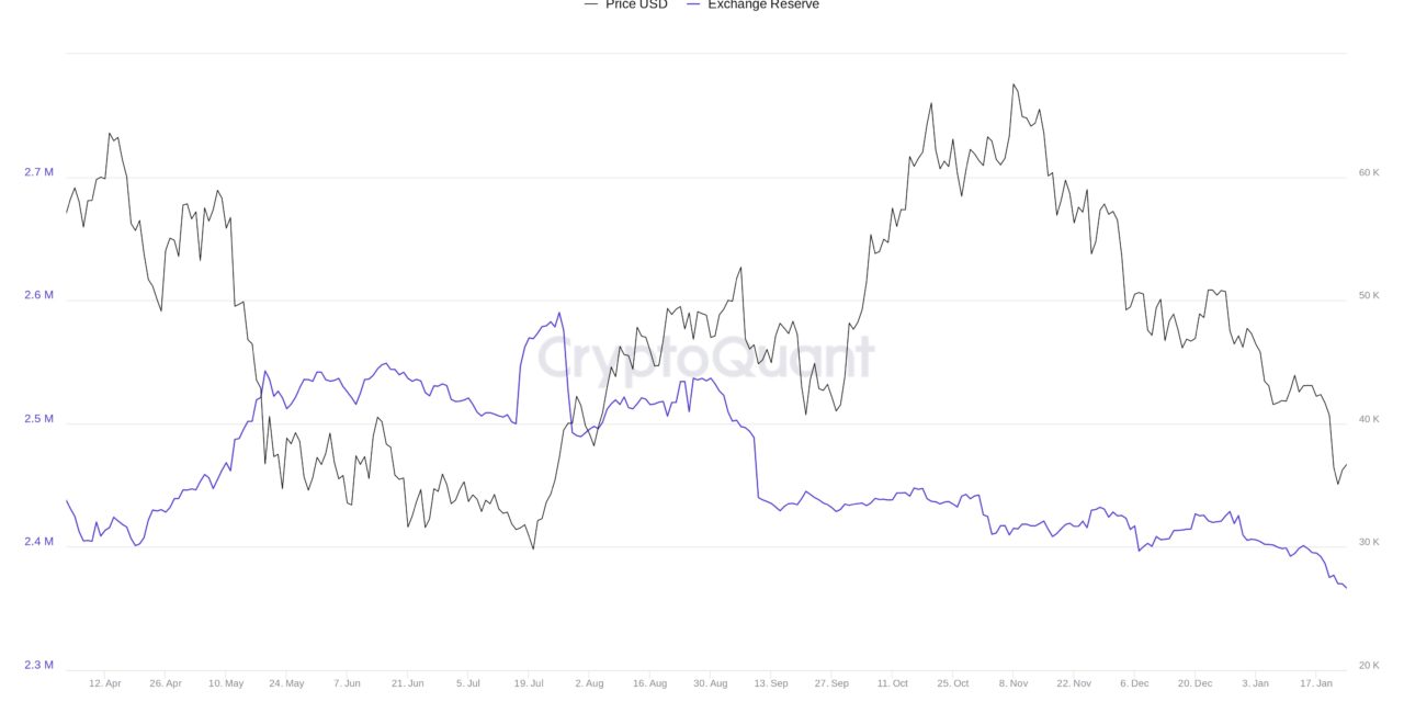 'Stop panic selling' — Bitcoin whales bag spare BTC as exchange balances fall