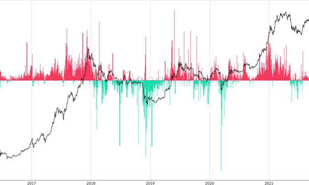 ‘Bull or bear market?’ Bitcoin losses from panic selling mount in 2022