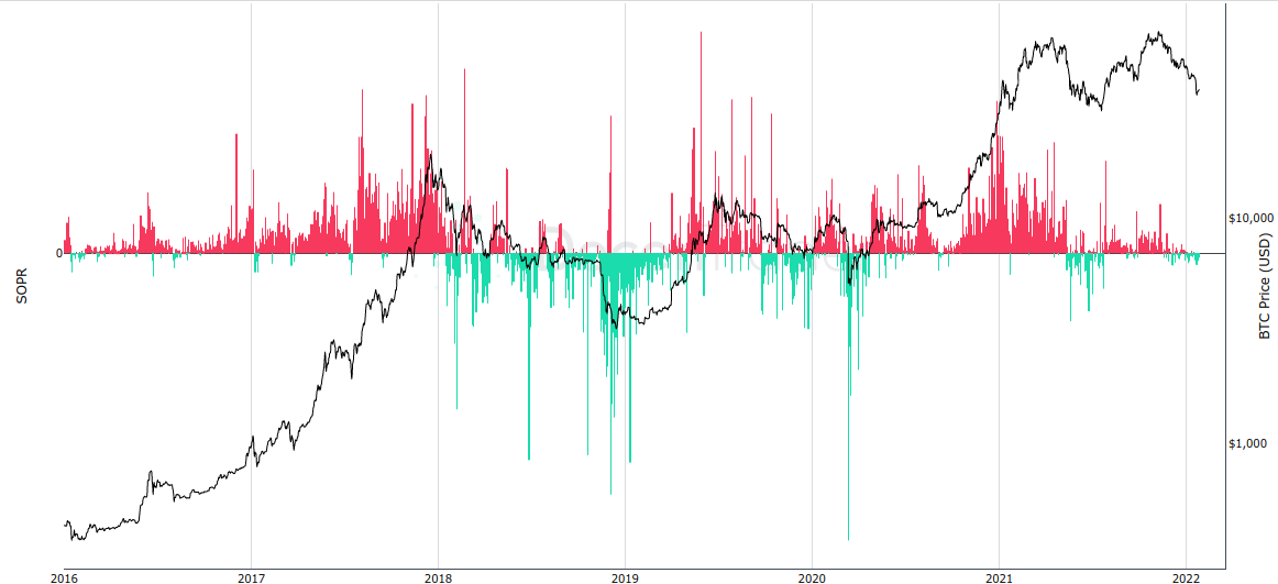 ‘Bull or bear market?’ Bitcoin losses from panic selling mount in 2022
