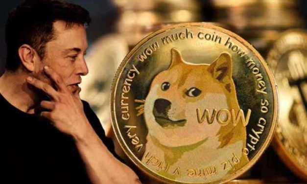 Elon Musk opäť podporil svoj obľúbený projekt – šancu vidí v platforme RobinHood