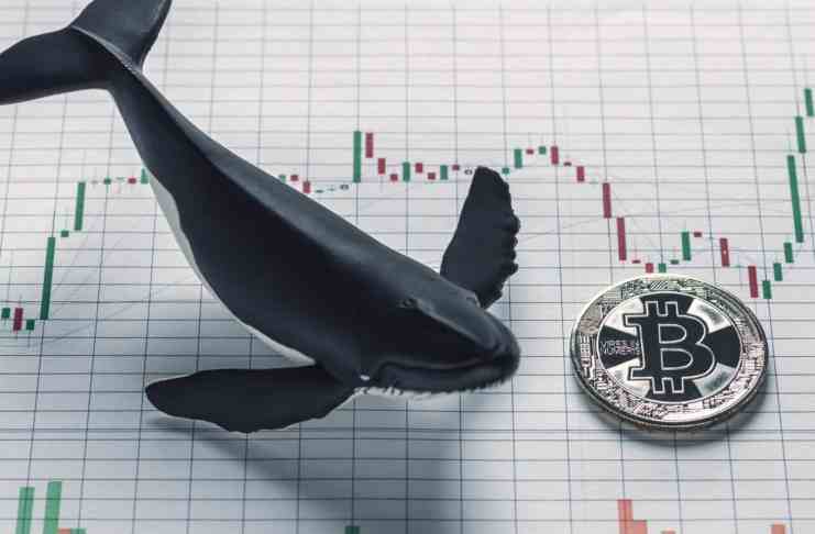 Dopyt veľrýb po BTC poukazuje na ochotu držať mince aj napriek korekcii