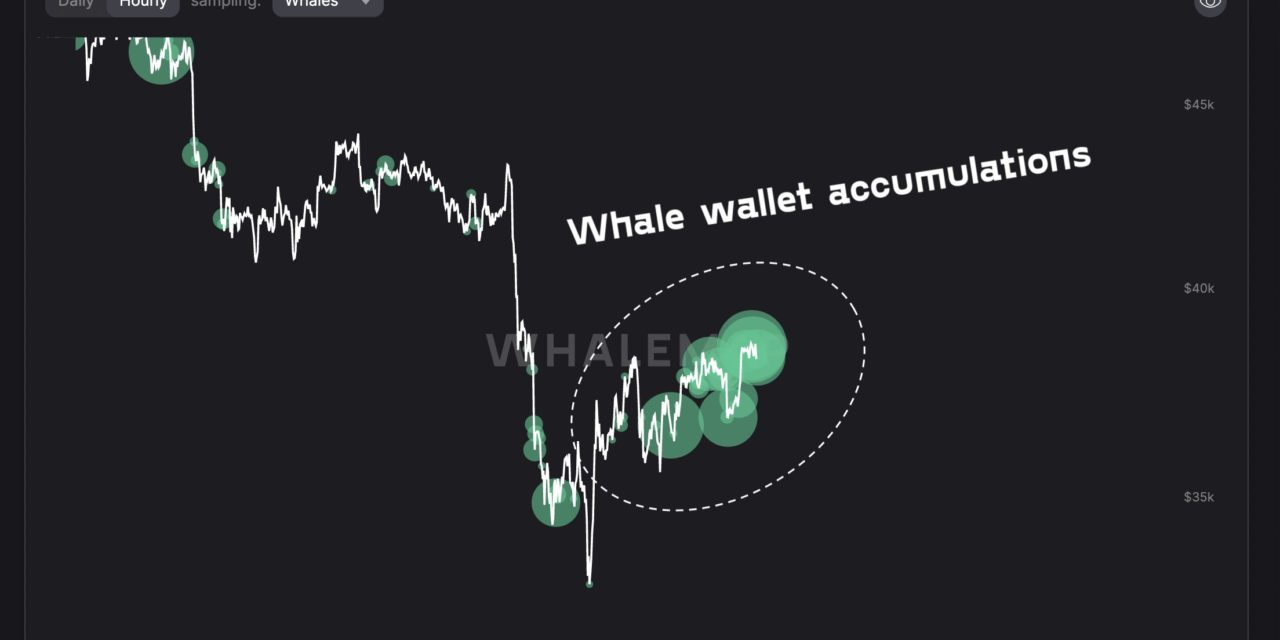 Bitcoin whales buy at $38K as BTC supply per whale hits 10-year high