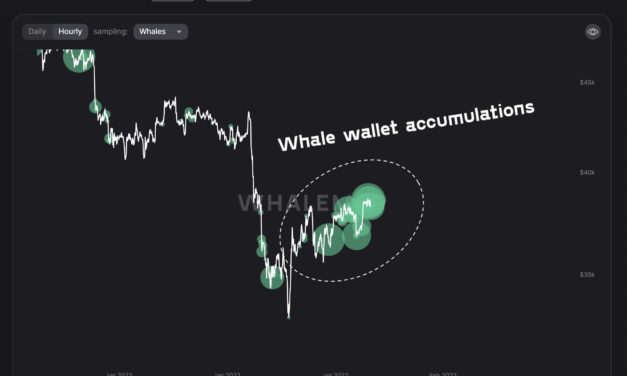 Bitcoin whales buy at $38K as BTC supply per whale hits 10-year high
