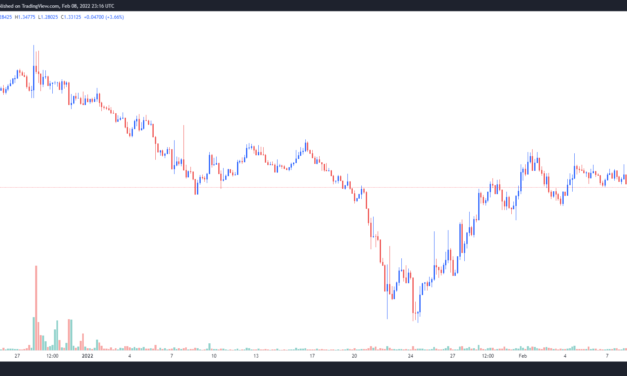 Trader Joe (JOE) makes a 110% V-shaped recovery after Rocket Joe launch