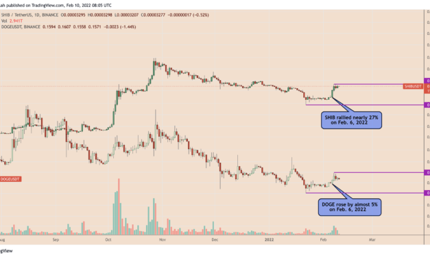 Top dogs: Newbie Shiba Inu bites back, gains 25% vs. Dogecoin in February