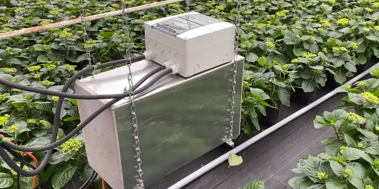 Flower powered: Bitcoin miner heats greenhouses in the Netherlands