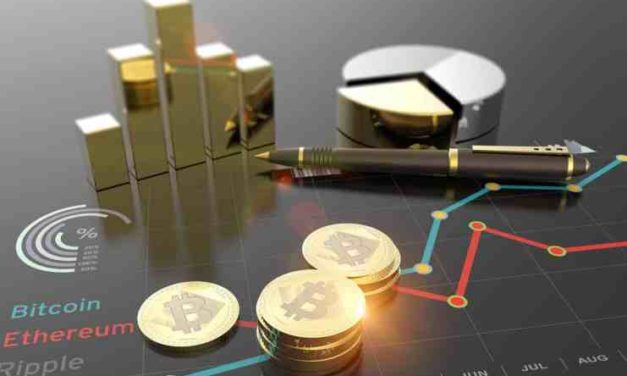 Koľko percent z portfólia by ste mali investovať do kryptomien?