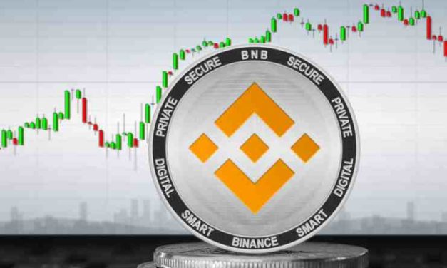 Binance coin analýza – cena narástla o 20 % iba za dva dni!