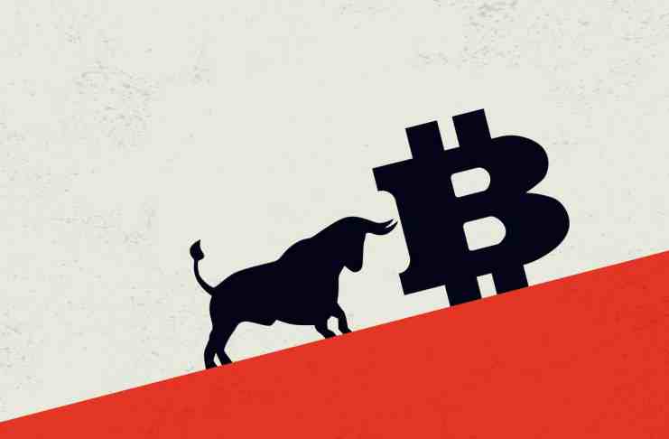 Bitcoin zlikvidoval viac ako 70 000 medveďov s celkovým objemom 271 miliónov USD