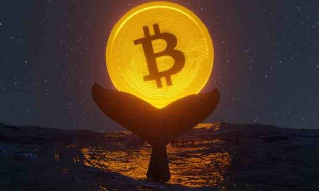 Veľryby skupujú Bitcoin počas posledného minima v korekcii