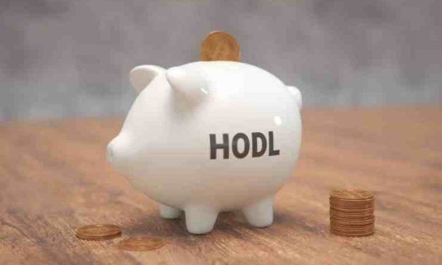 Počet hodlerských peňaženiek Bitcoinu dosahuje 5-ročné maximum