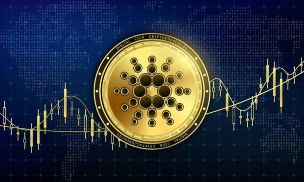 Držitelia ADA očakávajú výbuch ceny – dopyt rastie vďaka nízkej hodnote