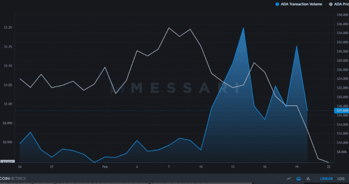 Cardano denný objem