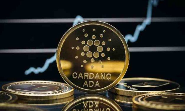 „Cardano určite exploduje, je to spiaci gigant“ – tvrdí zakladateľ Crypto Capital Venture