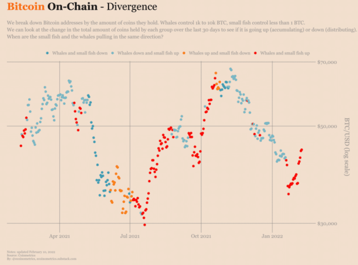 Divergencia Bitcoinu.