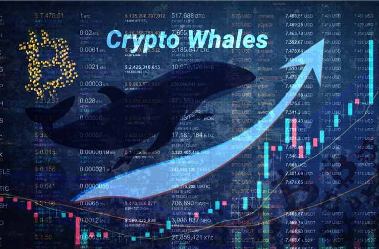 Kryptomenové fondy zaznamenali príliv veľkého kapitálu – trhy reagujú rastom!