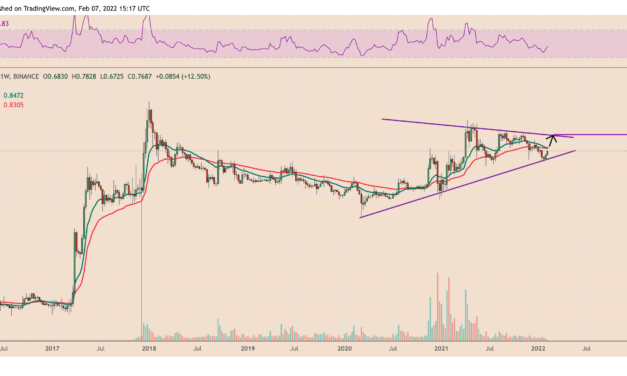 XRP gains 30% after Ripple gets permission to explain ‘fair notice defense’ vs. SEC