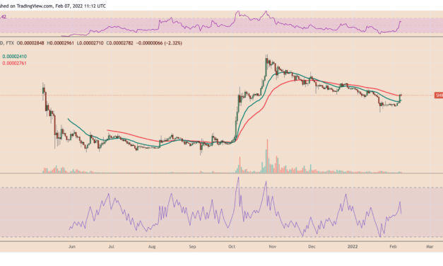 Is Shiba Inu overheating after SHIB price gains 75% in two weeks?