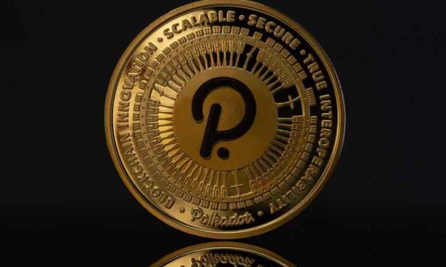 Polkadot, sieť s najnižšou uhlíkovou stopou – na rozvoj vyčlenila 20 miliónov USD