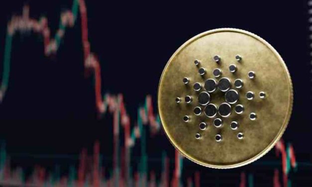 Chris Burniske: „Hodleri projektu Cardano budú nakoniec sklamaní, nasľubovali im viac ako vedia reálne splniť.“