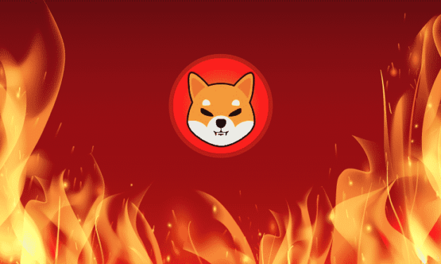 Shiba Inu pokračuje v masívnom spaľovaní – SHIB tvorí najväčšiu časť veľrybích peňaženiek!