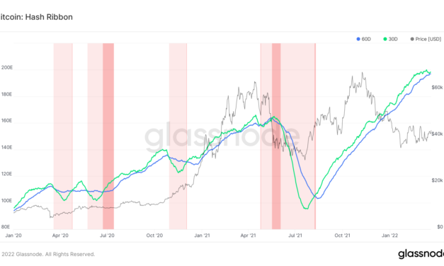 Bitcoin hash rate may see ‘small capitulation’  with difficulty set for new all-time high