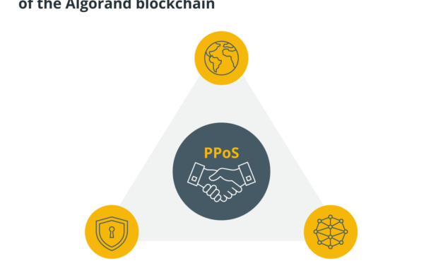 What is the Algorand blockchain, and how does it work?