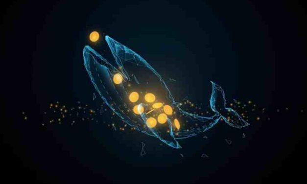 Investori a „krypto-veľryby“ nakúpili za 800 miliónov USD token ApeCoin! – O čom je tento hype?