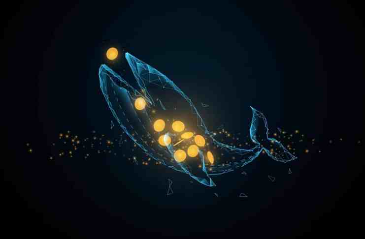 Investori a „krypto-veľryby“ nakúpili za 800 miliónov USD token ApeCoin! – O čom je tento hype?