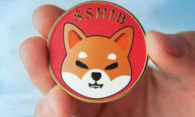 Binance bude rozdávať tokeny Shiba Inu, a to úplne zadarmo!