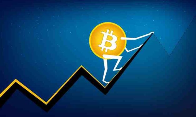 Analýza dominancie Bitcoinu – dočkáme sa niekedy ďalšej altcoinovej sezóny?