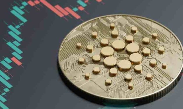 Využívate Cardano na staking? Burza Coinbase zvyšuje odmeny!