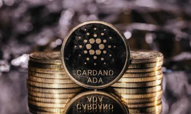 Charles Hoskinson: „Cardano bude mať do konca roka rovnako silný výkon ako Solana!“