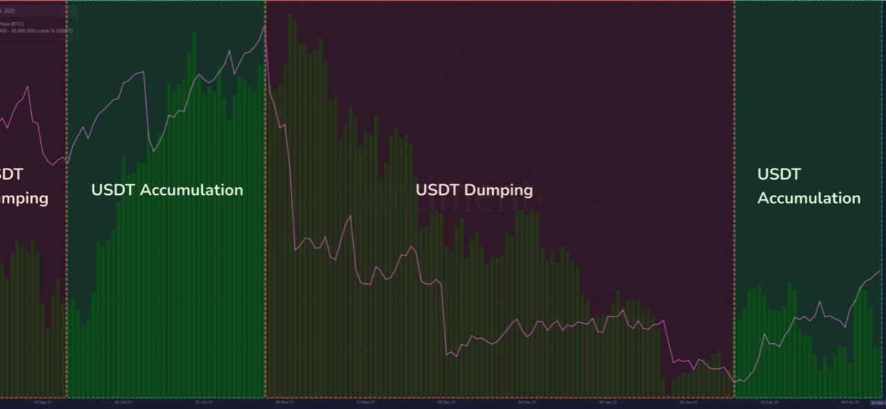 Whales' stablecoin buying power grew over 7% in one month: Here's what it means