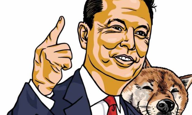 Dogecoin narástol o 10 % po tom, čo Musk povedal, že nepredáva kryptomeny!