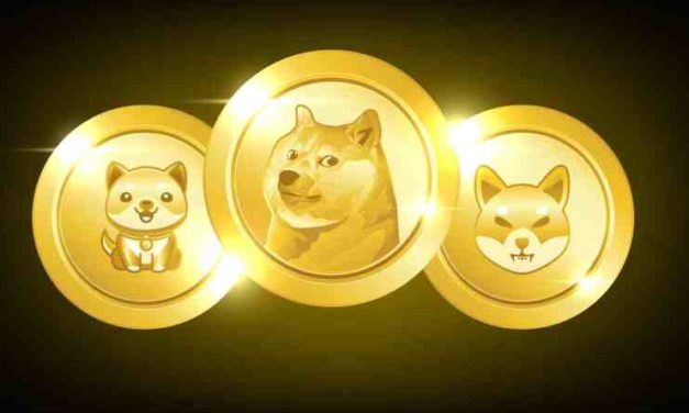 „Meme aktíva“ – 2021 znamenal veľký ošiaľ, 2022 ukazuje presný opak! A majú vôbec ešte budúcnosť?