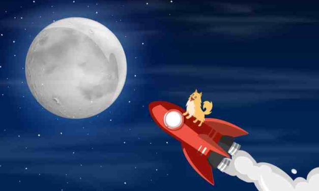 Máme tu ďalší meme token, ktorý vystrelil o viac ako 1000 %!