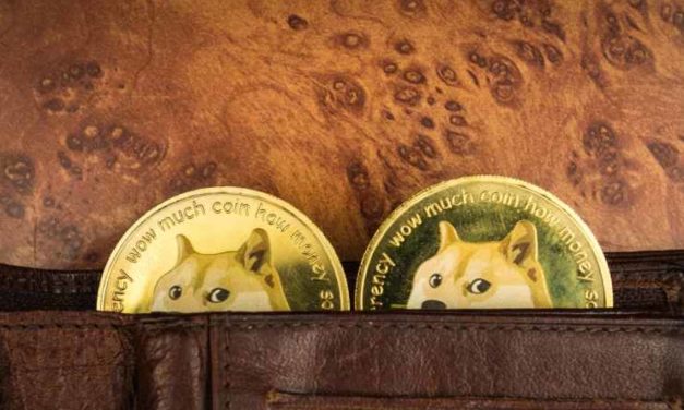 Na Ukrajine akceptujú už aj DOGE – môžete takto pomôcť ľudom v núdzi!