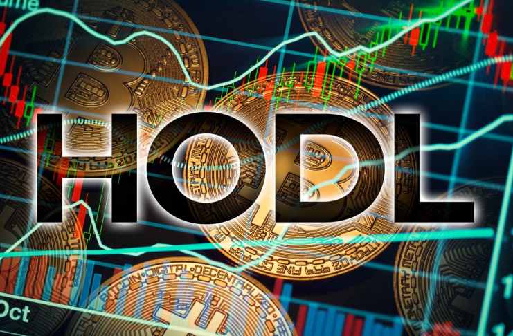 Bitcoin prekonal svoj rekord – získal až 40 miliónov hodlerov, ktorí stále pribúdajú