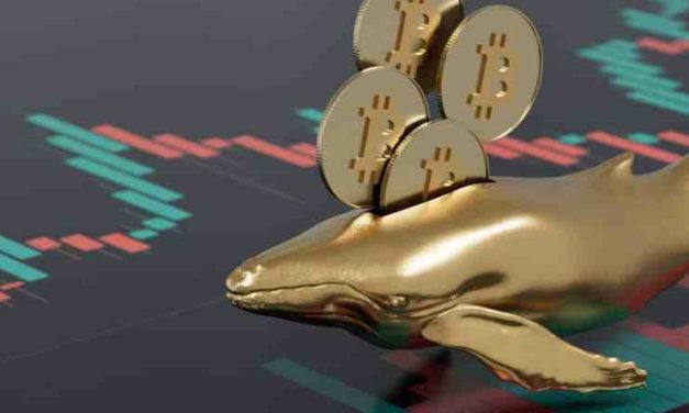 Pomer ponuky BTC nárazovo stúpol – čo to znamená?