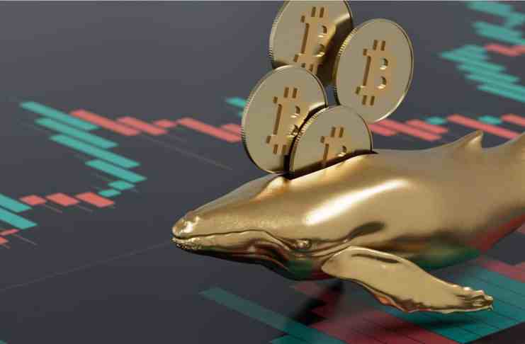 Pomer ponuky BTC nárazovo stúpol – čo to znamená?