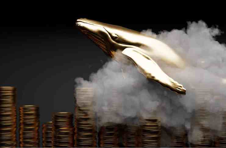 Štvrtá najväčšia ethereová veľryba kúpila 51 miliárd tokenov SHIB